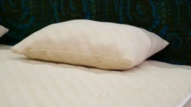 Kapok Pillows and Kapok Bed Pillows: The Natural Comfort You Deserve