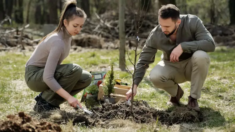 Best Practices for Maintaining Healthy Trees in Battle Creek, MI