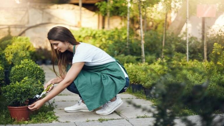 Top 5 Tips for Creating a Yard That's Easier to Maintain